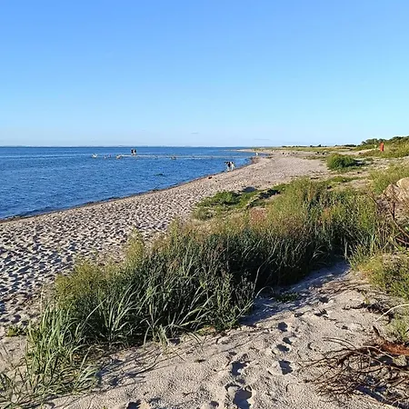 Stylish House - By Traum Nordborg